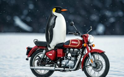 Concentración Pingüinos 2025