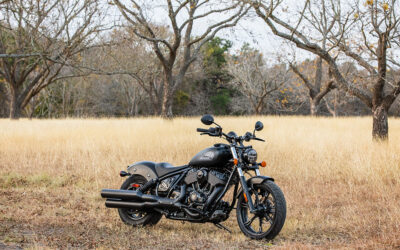 Indian Chief Dark Horse
